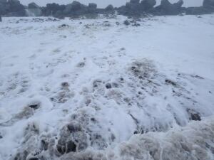 Lawrencetown beach