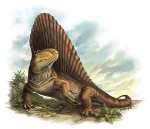 Dimetrodon