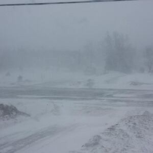 Nfld Paradox Bay of Islands 20140216