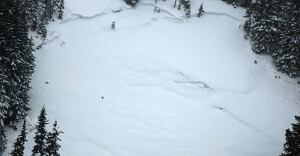 Avalanche Needle Peak
