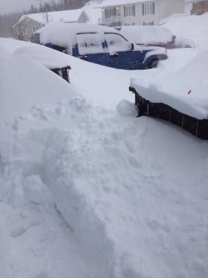 Snowy Monday