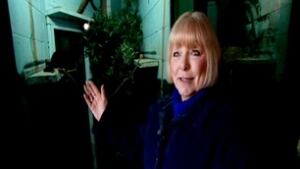 Lynda Collrin