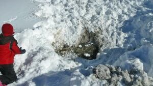 hole in pond