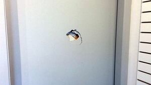 Spencer Chandra Herbert assistant target of homophobic attack