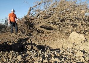 California Drought Farmers