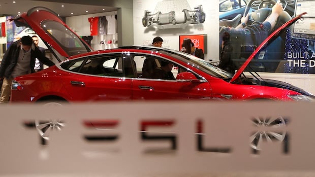 image of B.C. Man Sues RBC After Losing $415M on Tesla Stocks