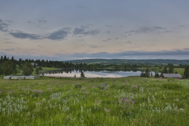 Priddis lake view