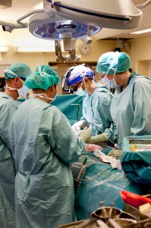 Sweden Womb Transplant