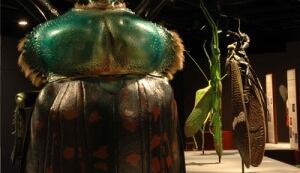 giant bugs exhibit