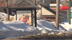 Snowed-in bus stop