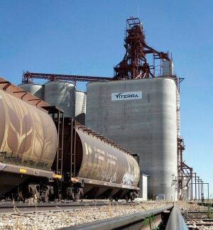 Grain Backlog