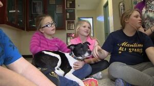 School puppy program