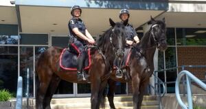 Waterloo Regional Police Horseback