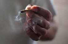 Medical Marijuana 20131011