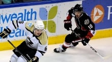 AHL Penguins Senators Hockey