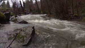 6-year-old boy pulled from Taylor Creek has died