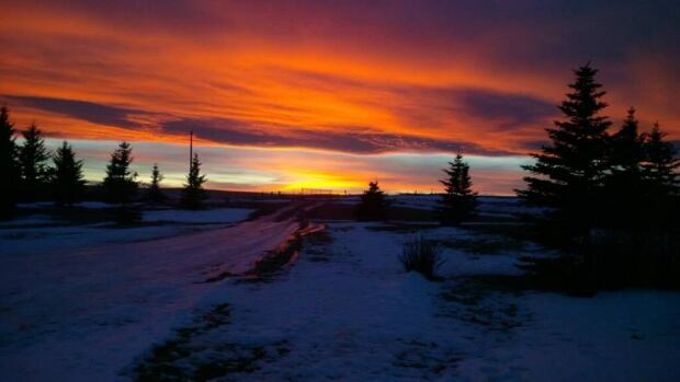 Chinook arch