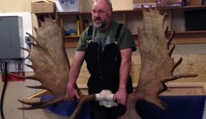 World record moose rack