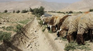 CLIMATE-DROUGHT/MIDDLEAST