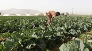 CLIMATE-DROUGHT/MIDDLEAST