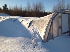 West End Food Bank greenhouse