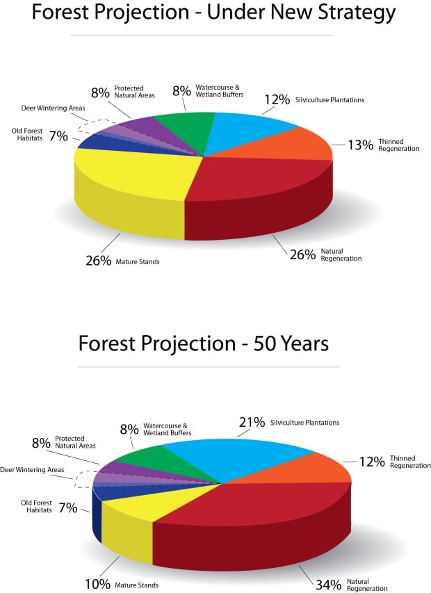 nb-forestry-projections-piecharts
