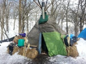 Tipi