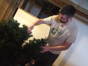 Ryan Black's ruined Christmas tree