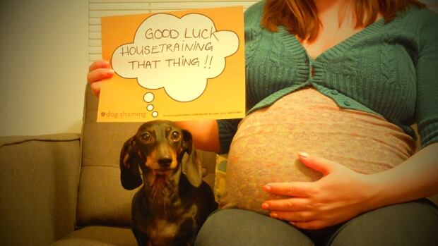 Dog shamer Pascale Lemire pregnant and dog