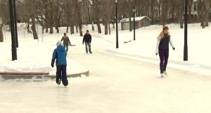 Bannerman Loop skaters