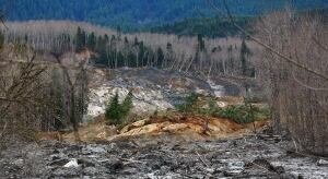 Snohomish Mudslide - 16