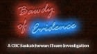 Bawdy of Evidence skpix