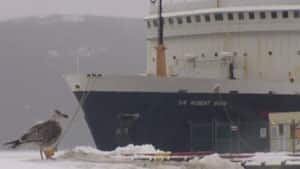 nl-bond-ferry-20130204