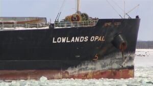 lowlands-opal-cargo