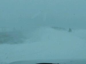 RCMP NL Twitter photo TCH west coast storm