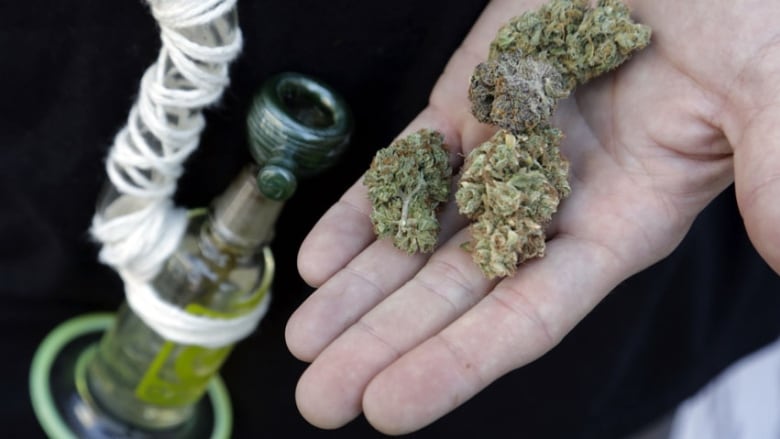 New guidelines may reduce risk of legal marijuana in youth | CBC Radio