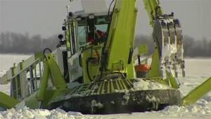amphibex