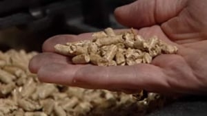 wood pellets
