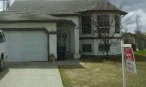 Marcus Brauer house