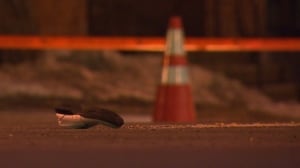 shoe hit and run