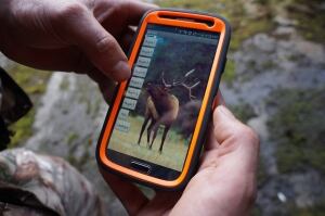 Elk call app