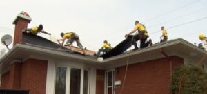 Roofers
