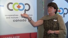 Co-operatives and mutuals Canada Denise Guy