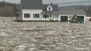 Ice jam
