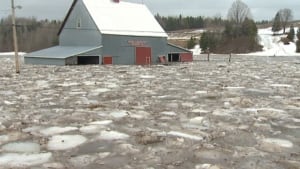 Flooded barn