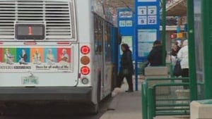 Saskatoon City Buses