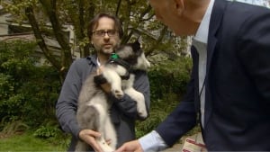 Vancouver West End puppy attacked by raccoon - 2