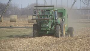 Corn residue