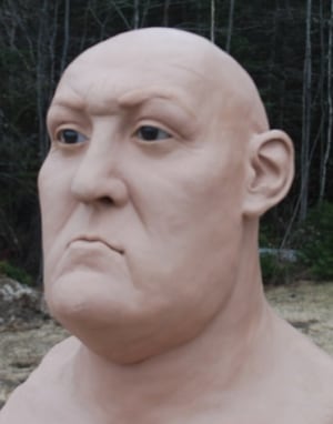 John Doe bust