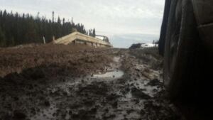 Section of Trans-Labrador Highway